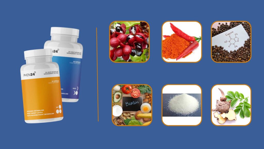 phen24-energa-systatika