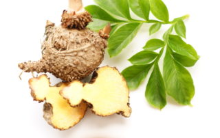 konjac-fysiko-anastaltiko-oreksis